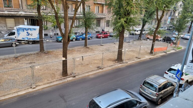 Milano: la protesta di Marco