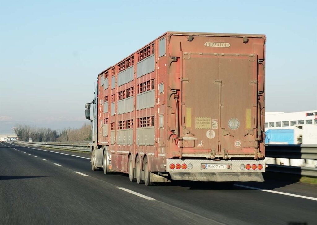 Inchiesta trasporto illegale Agnelli, Animal Equality