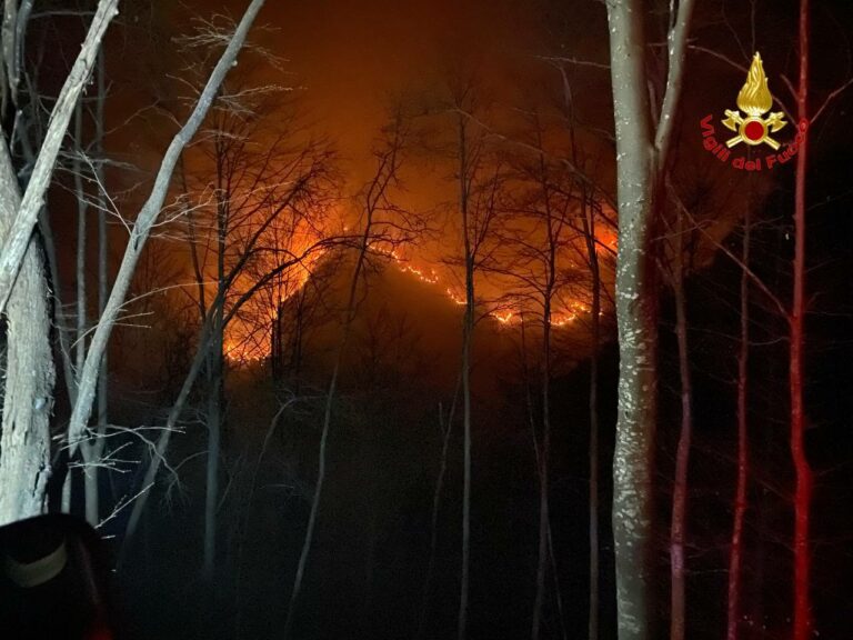 Incendi boschivi nel bresciano