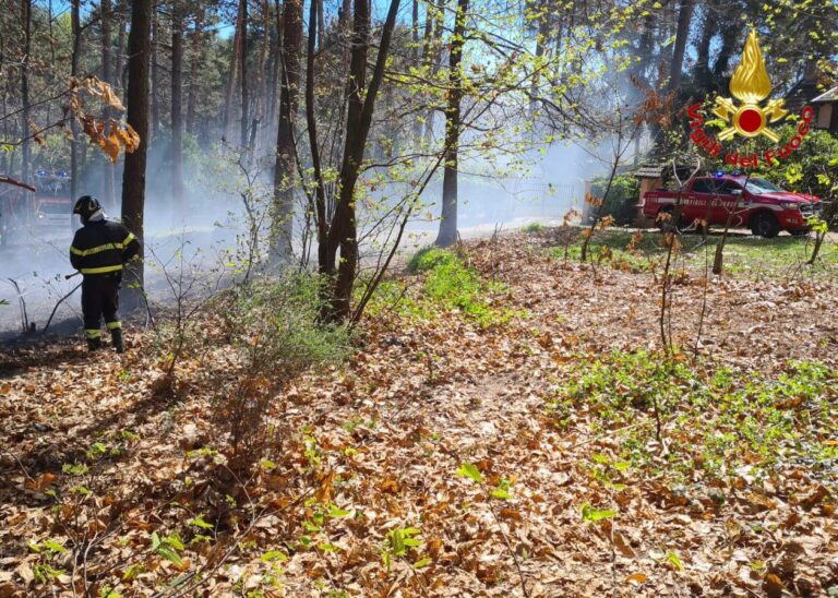 Vento forte e incendi in provincia di Varese