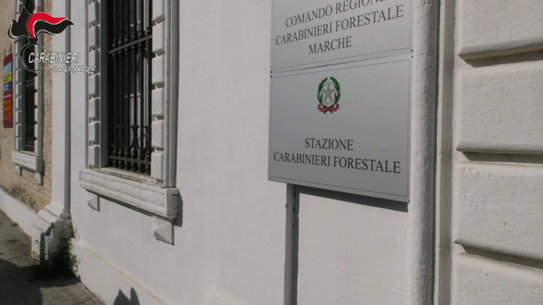 24 persone accusate di corruzione nella regione Marche
