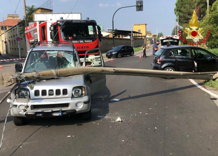 Albero caduto su auto a Busto Arsizio