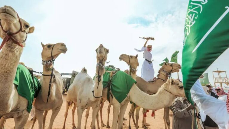 Arabia Saudita Camel Festival