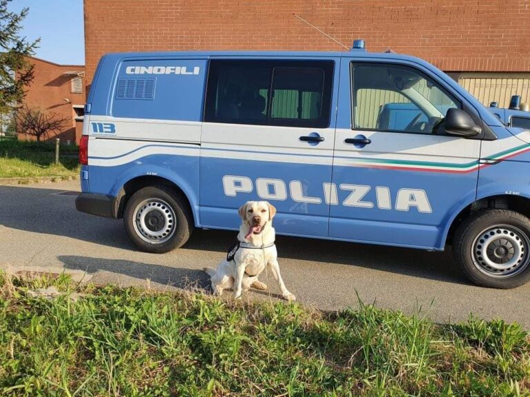 Torino-Caselle, i poliziotti piangono il cane che li supportava