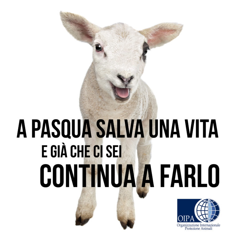 Pasqua, Oipa: salva una vita