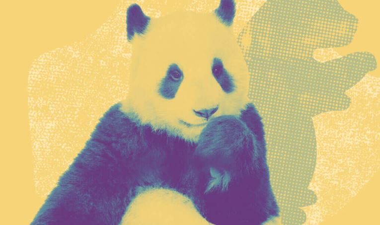 Cina, perchè tutela i Panda