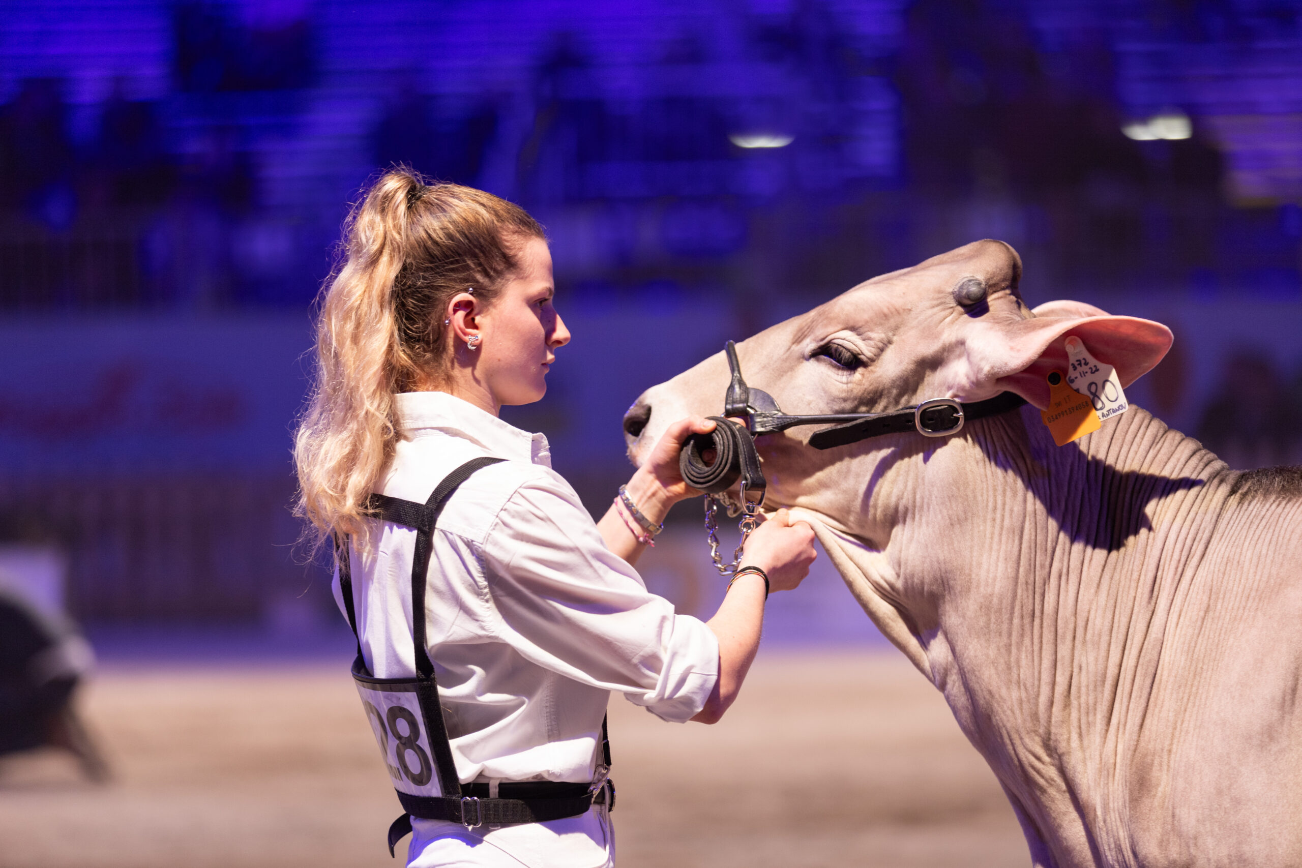 Cremona, fiere internazionali